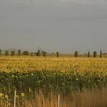 Di Campagna * ונטורינה טרמה