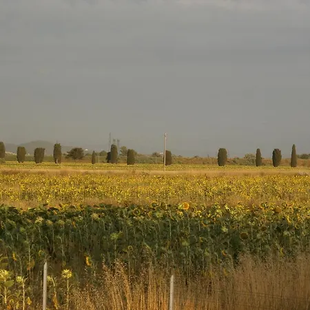 Di Campagna * Venturina Terme
