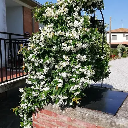 Di Campagna * Venturina Terme